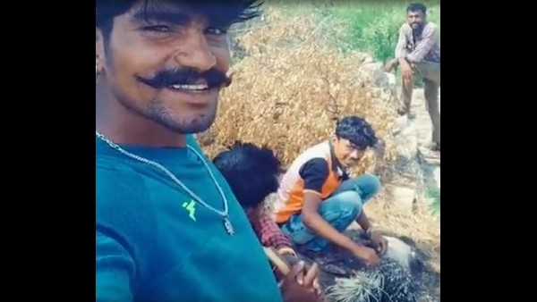 ಟಿಕ್ ಟಾಕ್ ಗಾಗಿ ಮುಳ್ಳುಹಂದಿ ತಿಂದ ವ್ಯಕ್ತಿ