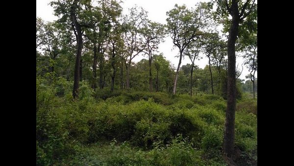 ಭಯವಿಲ್ಲದೇ ಜಿಲ್ಲೆಗೆ ಬನ್ನಿ