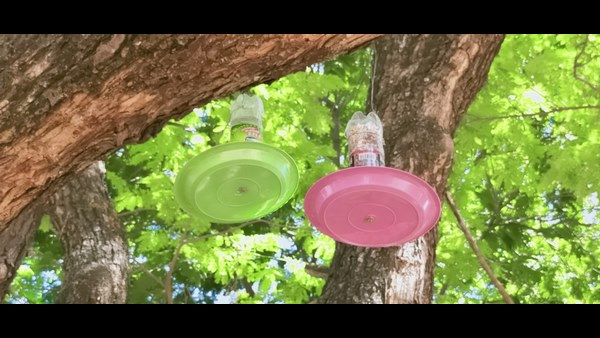 ಚಾಚೂ ತಪ್ಪದೇ ಮೇವಿಡುವ ಅಧಿಕಾರಿ