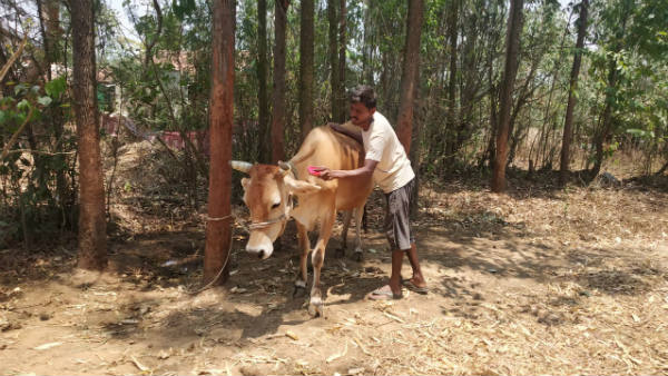 ರೈತರಿಗೆ ಸಕಾಲದಲ್ಲಿ ಬಿತ್ತನೆ ಬೀಜ, ಗೊಬ್ಬರ ಸಿಗುತ್ತದೆಯಾ?