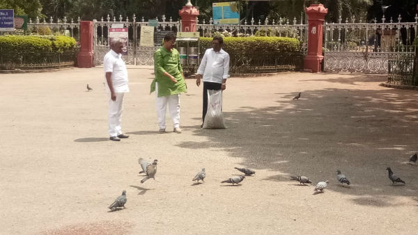 ಕಬ್ಬನ್ ಪಾರ್ಕ್, ಲಾಲ್ಭಾಗ್ಗಳಲ್ಲಿ ಆಹಾರದ ಕೊರತೆ