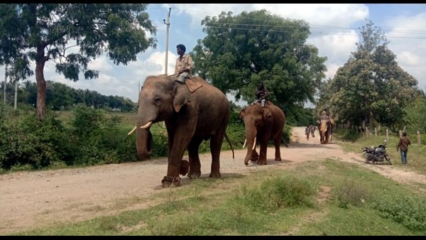 ಆತಂಕದಲ್ಲಿಯೇ ದಿನದೂಡುತ್ತಿರುವ ರೈತರು