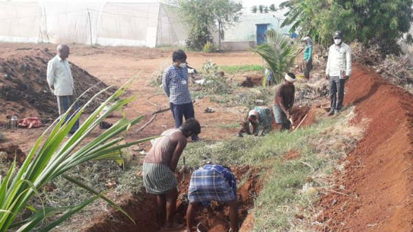 ತುರ್ತಾಗಿ ಜಾಬ್ ಕಾರ್ಡ್ ವಿತರಣೆ