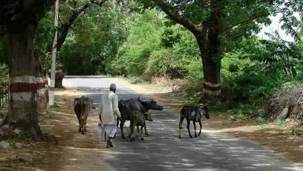 ಸಾರ್ವಜನಿಕರ ಸಾಮೂಹಿಕ ಪ್ರಯತ್ನ ಅತ್ಯಗತ್ಯ