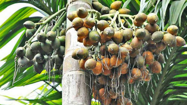 ಕೃಷಿ ಕೂಲಿ ನೀಡುವವರಿಗೂ ಆರ್ಥಿಕ ಮುಗ್ಗಟ್ಟು