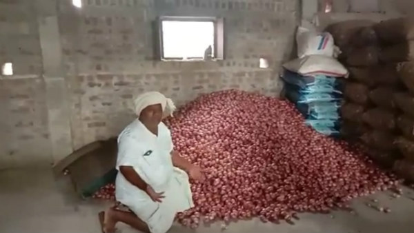 ಕಳೆದ ವರ್ಷ ಬೆಳೆದಿದ್ದ ಸೇವಂತಿ ಹೂ ಕೂಡ ಹೀಗೆ ಆಗಿತ್ತು!