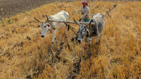 ರಸಗೊಬ್ಬರಗಳ ಖರೀದಿ