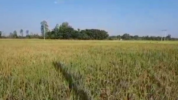 ಕೃಷಿ ಚಟುವಟಿಕೆಗೂ ನಿರ್ಬಂಧ