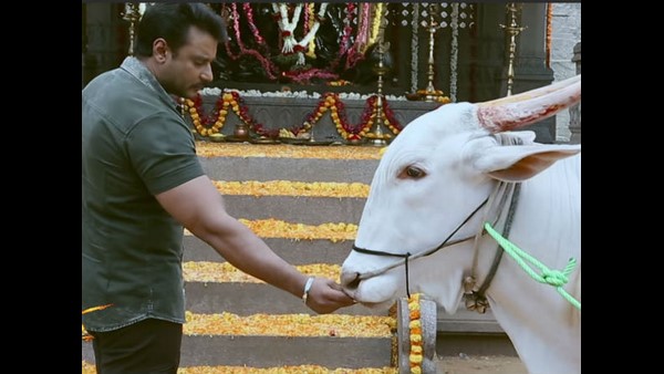 ಲಾಕ್ ಡೌನ್ ವಿನಾಯಿತಿ