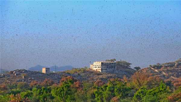 ಉತ್ತರ ಪ್ರದೇಶದಲ್ಲಿ ಪರಿಸ್ಥಿತಿ ಹೇಗಿದೆ?
