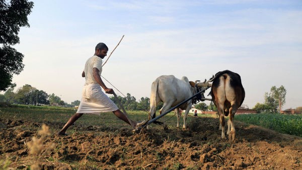 ಉದ್ಯೋಗ ಖಾತ್ರಿ ಯೋಜನೆಯಡಿ ದಿನಗೂಲಿ ಸಿಗಲಿ