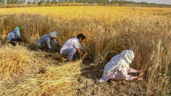ಕೃಷಿ ಕ್ಷೇತ್ರ ಕಡೆಗಣಿಸಿದಿರೀ ಜೋಕೆ...