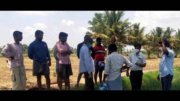 ಅವಧಿಗೆ ಮುನ್ನವೇ ಬೆಳೆ ಕೀಳುತ್ತಿರುವ ರೈತರು