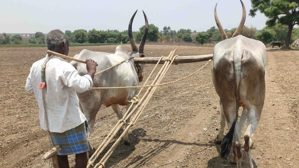 ರಸಗೊಬ್ಬರದ ಕೊರತೆ ಇಲ್ಲ