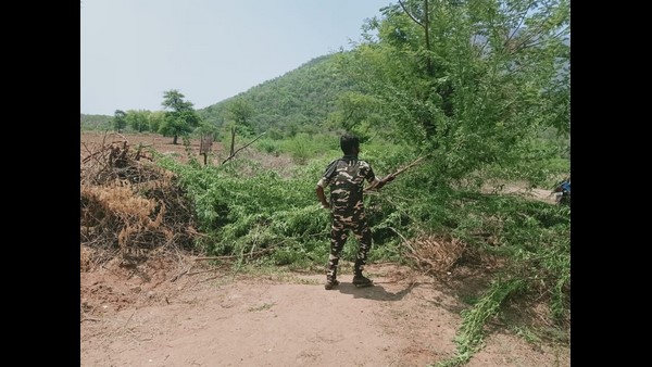ಕಳ್ಳದಾರಿ ಮುಚ್ಚಿದ ಅರಣ್ಯ ಇಲಾಖೆ