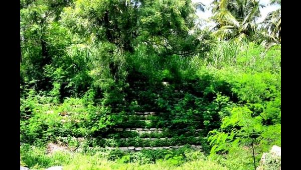 ಕಲ್ಯಾಣಿಯಲ್ಲಿ ನೀರು ತುಂಬುವ ಭರವಸೆ