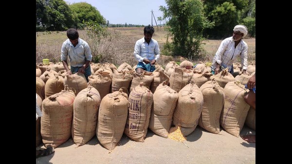 ಕೃಷಿ ವ್ಯವಸ್ಥೆಯನ್ನು ದಾಸ್ಯಕ್ಕೊಳಪಡಿಸಬೇಡಿ