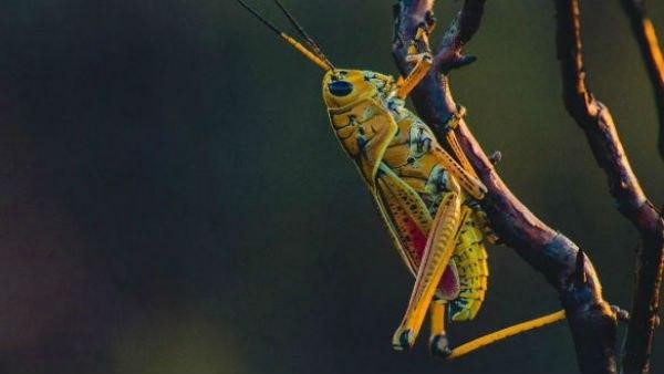 ಹವಾಮಾನ ಇಲಾಖೆ ವಿಜ್ಞಾನಿಗಳು ಹೇಳುವುದೇನು?