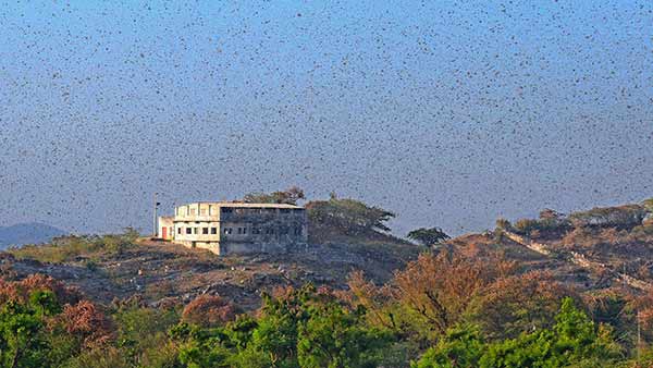 ಪಾಕಿಸ್ತಾನದಲ್ಲಿ ತುರ್ತು ಪರಿಸ್ಥಿತಿ ಘೋಷಿಸಿದ ಸರ್ಕಾರ