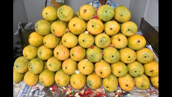ಮನೆಮನೆಗೇ ಮಾವಿನ ಹಣ್ಣು