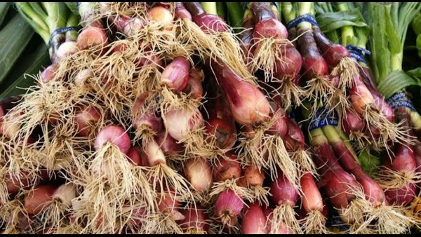 ಈರುಳ್ಳಿಯನ್ನು ಕೀಳುವುದೇ ಸಮಸ್ಯೆ