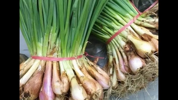 ಮಾರುಕಟ್ಟೆಯಲ್ಲಿ ಈರುಳ್ಳಿಗೆ ಕುಸಿದ ಬೇಡಿಕೆ