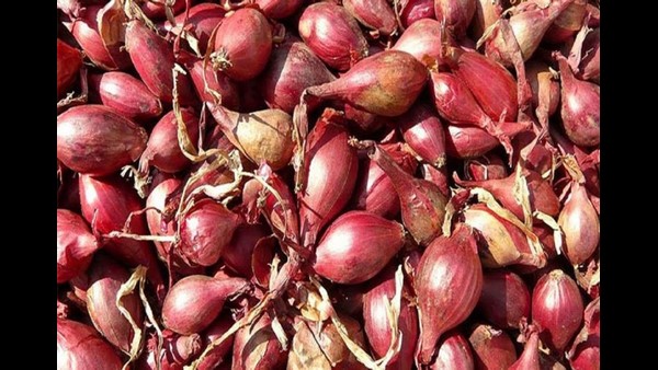 ರೈತನಿಗೆ ನೂರೆಂಟು ಸಮಸ್ಯೆಗಳು