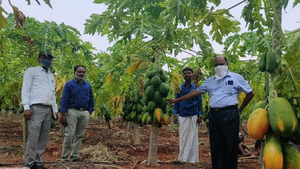 ರೈತನಿಗೆ ಸಂಕಷ್ಟ ತಂದ ಕೊರೊನಾ