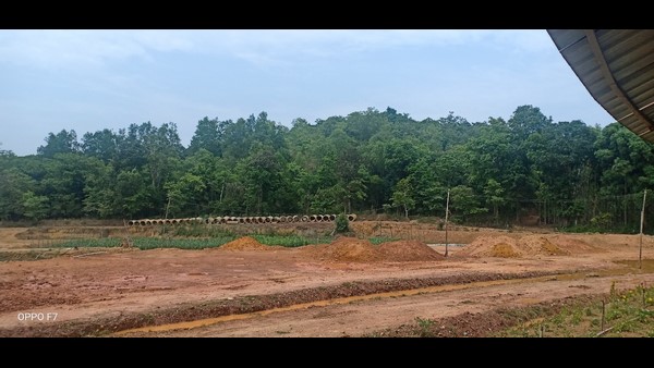 ಅಲ್ಲಿ ಕಟ್ಟಡಗಳ ನಿರ್ಮಾಣ