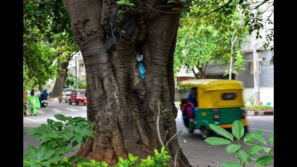 1,380 ಕೋಟಿ ನಷ್ಟ