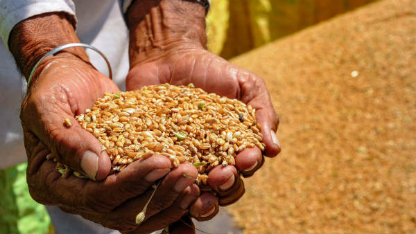 ಕೃಷಿ ಪರಿಕರಗಳ ಖರೀದಿ
