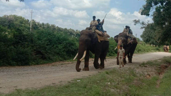 ಬೇಸ್ ಕ್ಯಾಂಪ್ ಆರಂಭಿಸಿರುವ ಇಲಾಖೆ