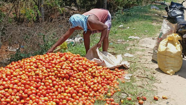 ರೈತರಿಗೆ ಅರ್ಧದಷ್ಟೂ ದರ ಸಿಗುತ್ತಿಲ್ಲ