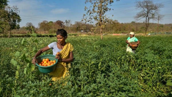 ಉಳುವವನೇ ಭೂಮಿ ಒಡೆಯ ಆಶಯಕ್ಕೆ ವಿರುದ್ಧ