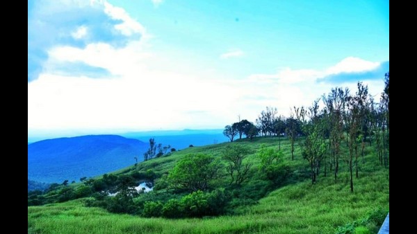 ಸಫಾರಿಯ ದರಗಳಲ್ಲಿ ಯಾವುದೇ ಬದಲಾವಣೆ ಇಲ್ಲ