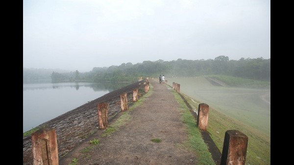 ನೀರಾವರಿ ಇಲಾಖೆಯ ನಿರ್ಲಕ್ಷ್ಯ