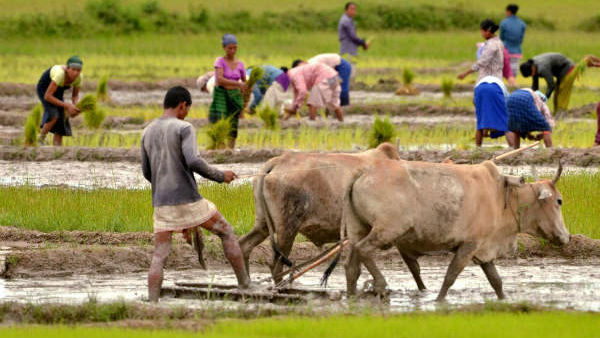ದಾಸ್ತಾನು ಮಿತಿ ಹೇರಿಕೆಯಿಂದ ವಿನಾಯ್ತಿ