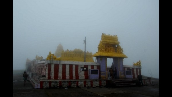ಪ್ರಕೃತಿಗೆ ಜೀವ ತುಂಬಿದ ಮಳೆ