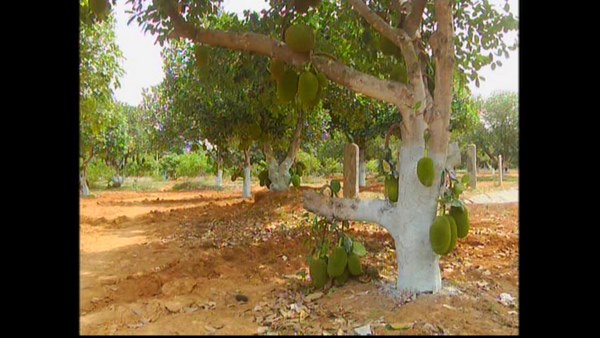 ಪ್ರವಾಸಿ ಕೇಂದ್ರ ಮಾಡುವ ಚಿಂತನೆ
