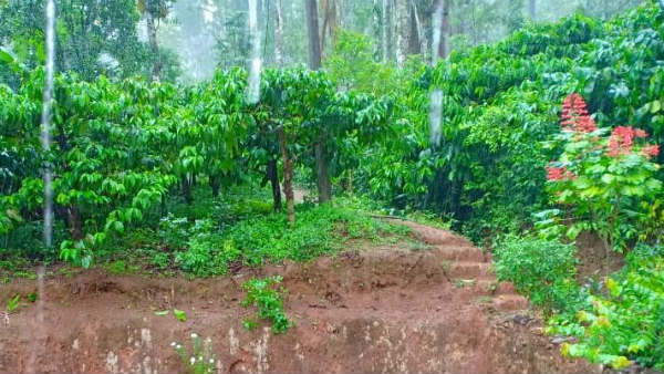 ಜಿಲ್ಲೆಯಲ್ಲಿ ಸನ್ನದ್ಧಗೊಂಡ ಎನ್ಡಿಆರ್ ಎಫ್