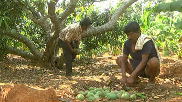 ನಗರಗಳಲ್ಲಿ ಒಳ್ಳೆ ಬೆಲೆಗೆ ಮಾರಾಟ