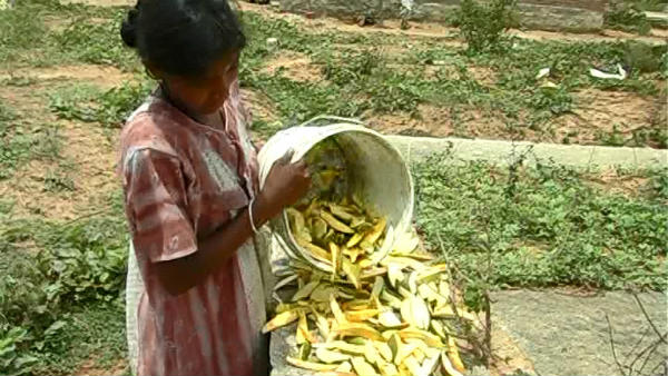 ಬಂಡವಾಳವಿಲ್ಲದೇ ಲಾಭ ಪಡೆಯುವ ಹಾದಿ