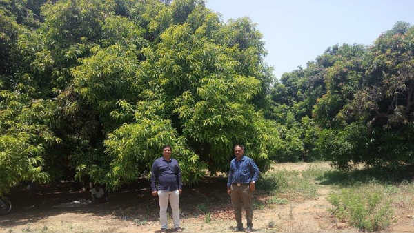 ವೈಜ್ಞಾನಿಕ ನಿರ್ವಹಣೆ