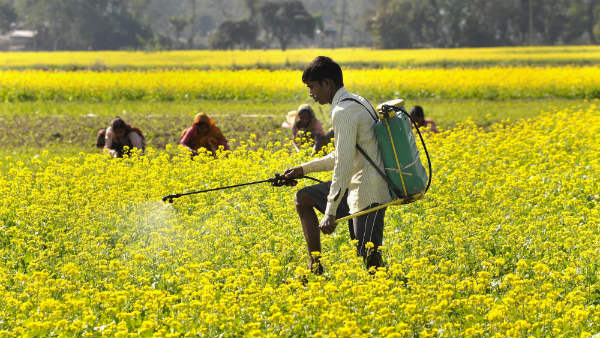 ಕೀಟನಾಶಕ ನಿಷೇಧಕ್ಕೆ ಸರ್ಕಾರ ನೀಡಿರುವ ಕಾರಣಗಳು...