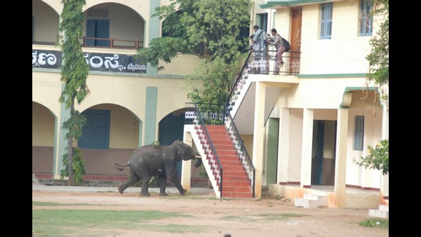 ದಿಕ್ಕಾಪಾಲಾಗಿ ಜನ ಓಡಿ ತಪ್ಪಿಸಿಕೊಂಡಿದ್ದರು