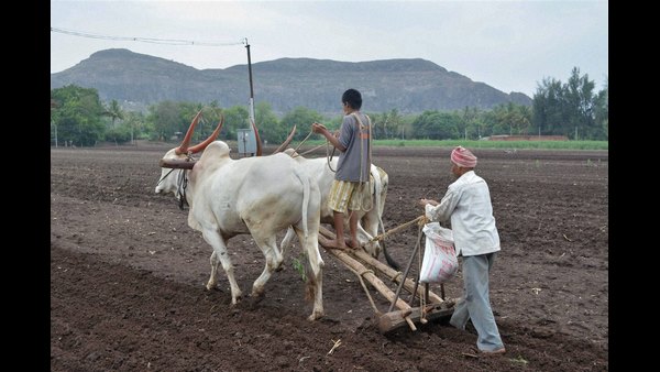7. ಬೀಜ ತಳಿಗಳ ತಜ್ಞರಾದ ನೀವು ರೈತರಿಗೆ ನೀಡುವ ಸಂದೇಶವೇನು?