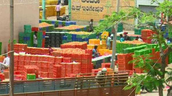 ತೋಟಗಳಲ್ಲೇ ಕೊಳೆತ ತರಕಾರಿಗಳು