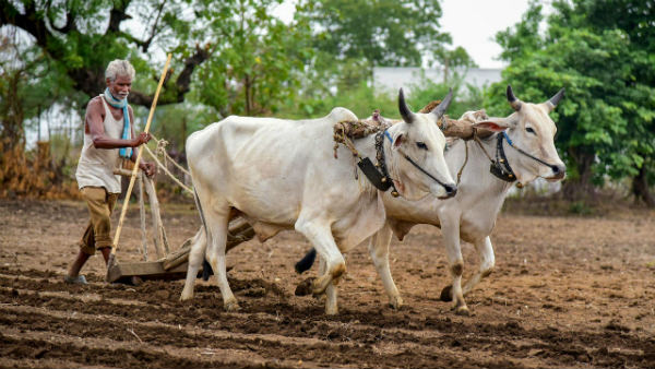 ರೈತ ಚಳವಳಿಯಿಂದ ಈ ಕೆಲಸ ಆಗಬೇಕಿದೆ