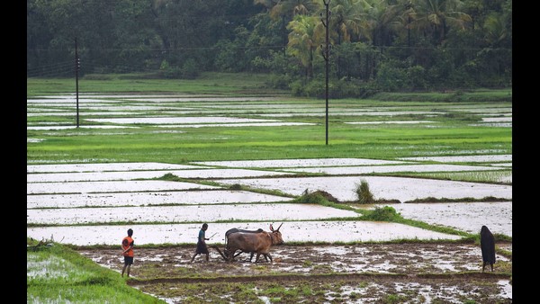 ಸಾವಯವ ಉತ್ತಮ ಕೃಷಿ ಪದ್ಧತಿ