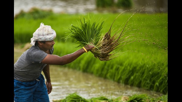 ಮಾರ್ಜಿನ್ ಮನಿಯ ಆಸೆ